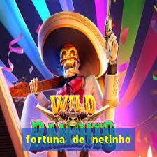 fortuna de netinho de paula